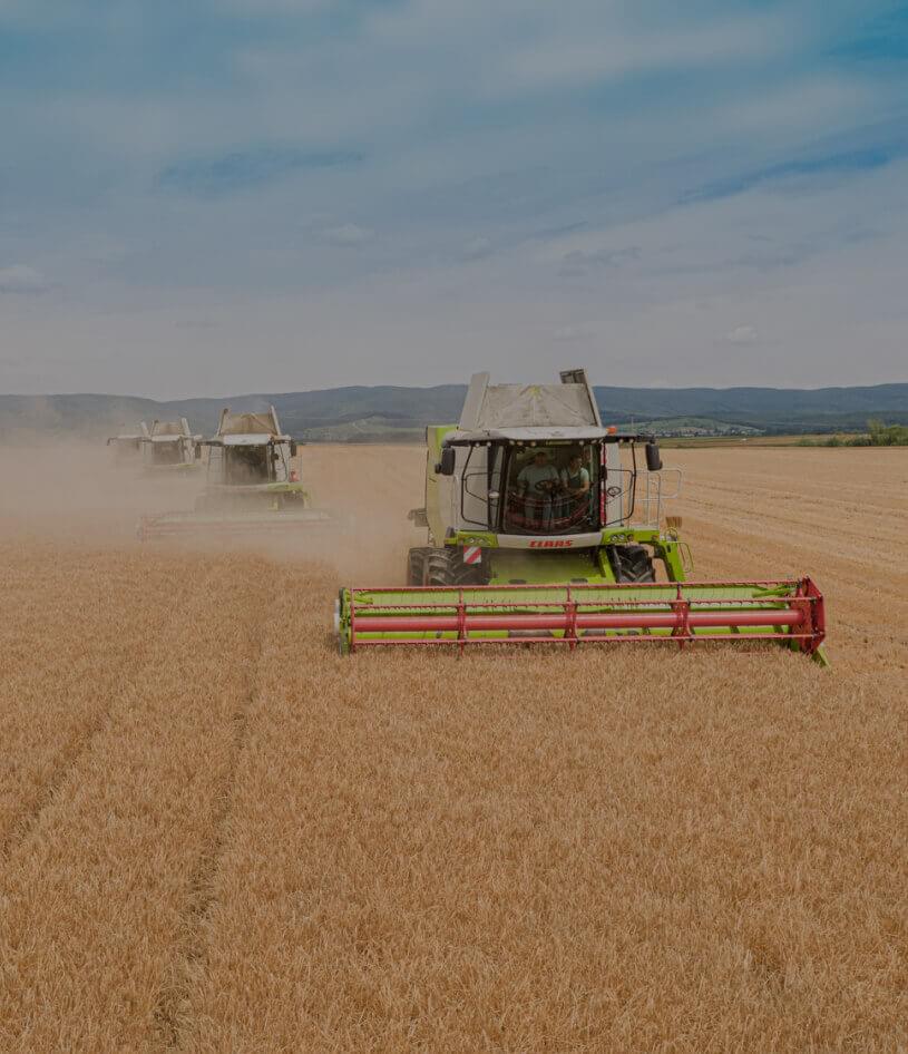 kutjevo agriculture