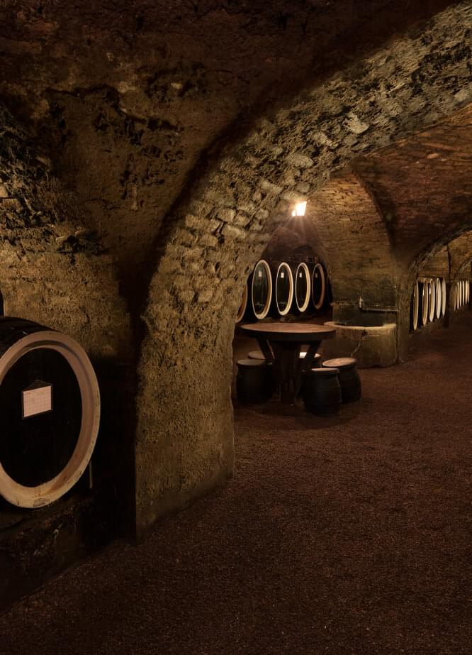kutjevo wine