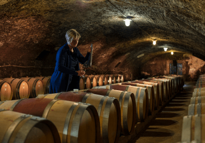 kutjevo wine