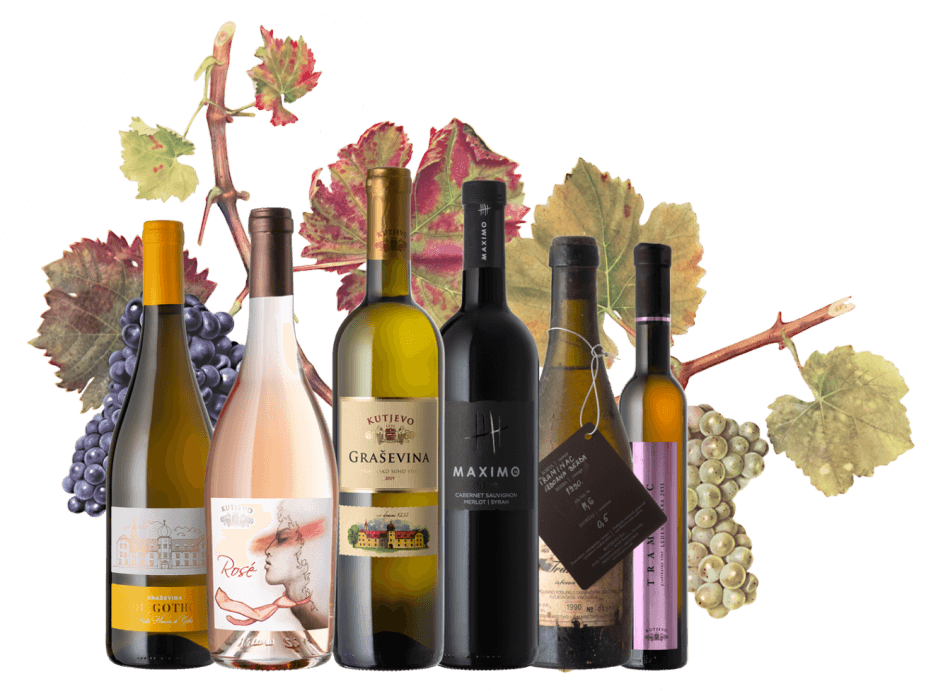kutjevo wine