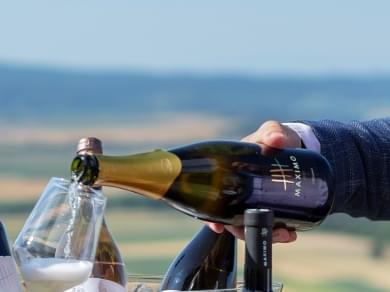kutjevo wine